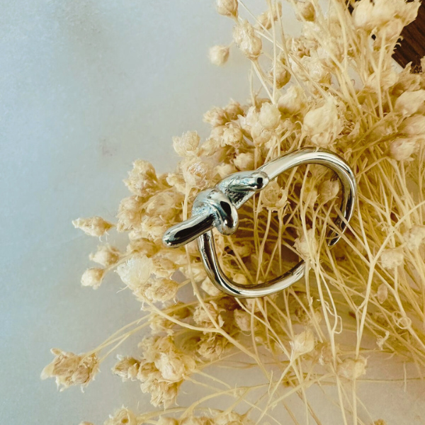 Ring Nó